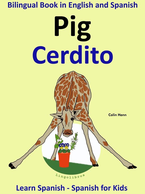 Cover image for Learn Spanish